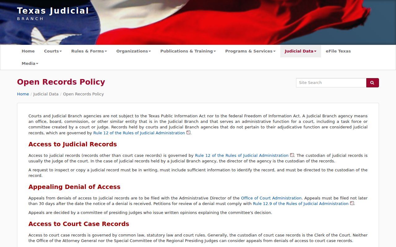 Hood County court record access policy